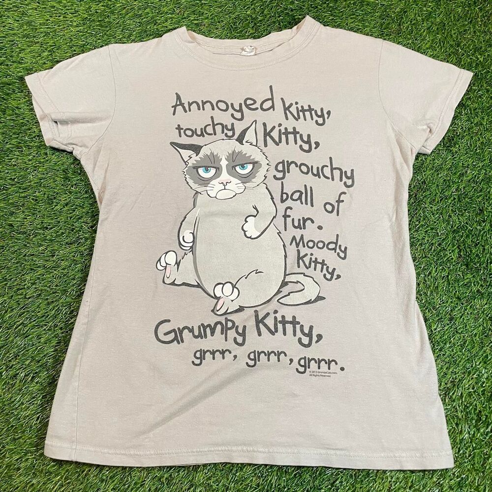 2013 gray Grumpy Cat funny Y2K retro graphic tee Women's size M runs small